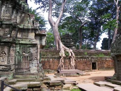 TA PROHM