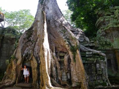 TA PROHM