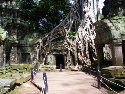 TA PROHM