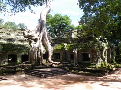 TA PROHM