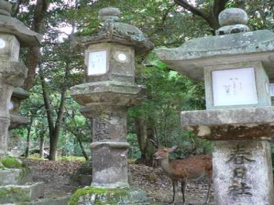 Nara