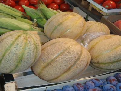 Très mais très gros melons !!