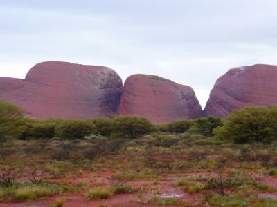 Les Monts Olgas