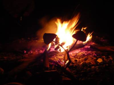 Feu de camp et marshmallows
