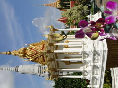 Orchidée et temple miniature dans une des cours du Palais Royal