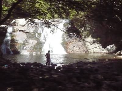 Laurel Falls
