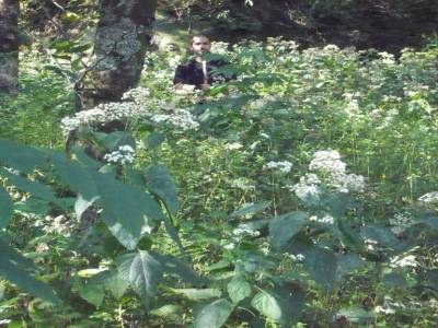 fleur parmi les fleurs