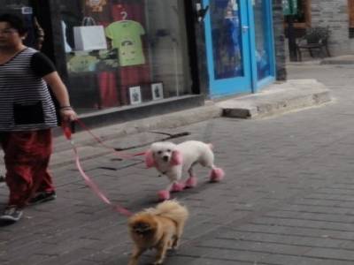 Hutong