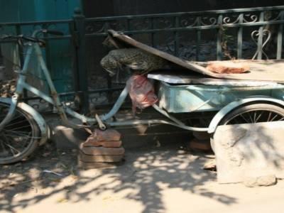 Hutong