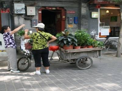 Hutong