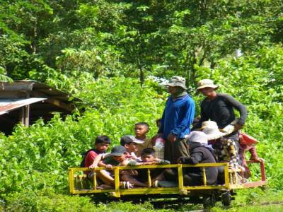 Bamboo train