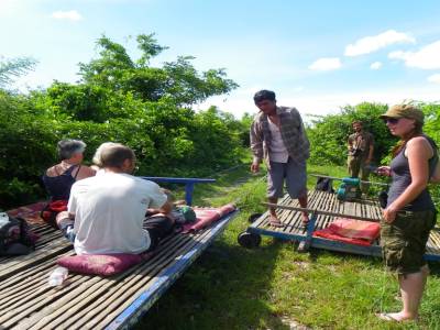 Bamboo train