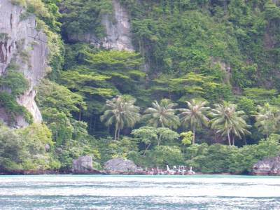 koh phi phi LEE
