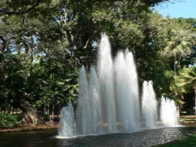 Darwin Jardin botanique.
