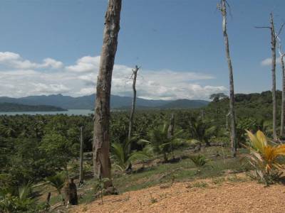 Ko chang island
