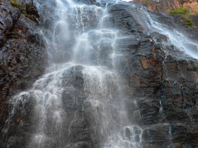 Kakadu.