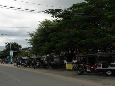 Une rue pleine de guesthouses et donc... de Tuk tuk