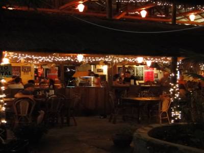 Notre Guesthouse : Monkey Republic