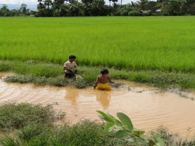 Des enfants au bord des rizieres