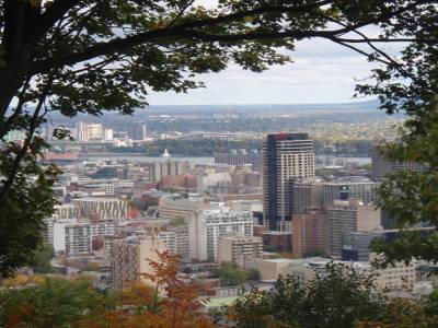 Vue du parc du Mont royal