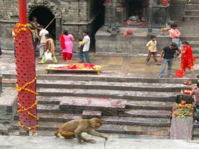 Pashupatinath et bothnath