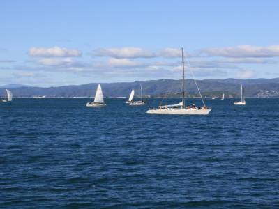 Baie de Wellington