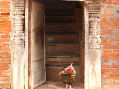 Kirtipur et Patan
