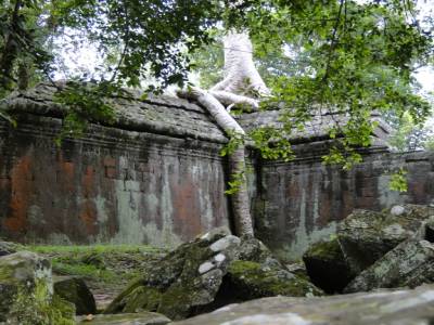 Ta Prohm