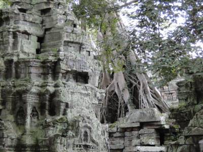 Ta Prohm