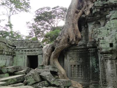 Ta Prohm