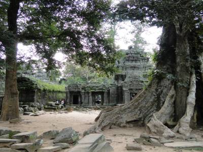 Ta Prohm