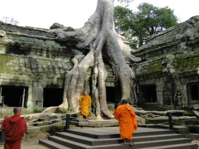 Ta Prohm