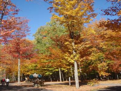 Couleurs d'automne...