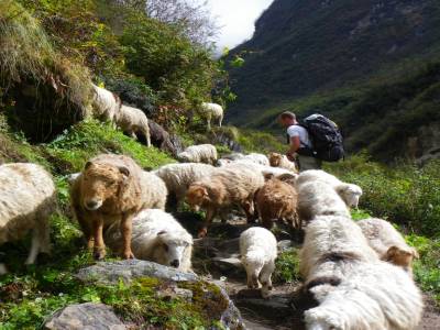 Jour 4 : DOBHAN - CAMPS DEBASE DU MACHHAPUCHHRE