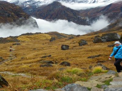 Jour 5: Ascension jusqu au camp de base des Annapurnas (4130M) et redescente a DOBHAN (2540m)