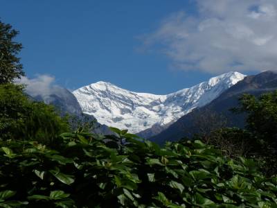 Jour 8 :  GHANDRUK - NAYAPUL (1070M)