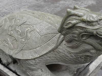 un dragon tortue