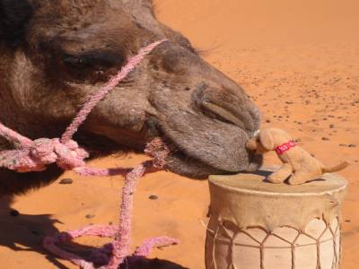 choc des cultures!!