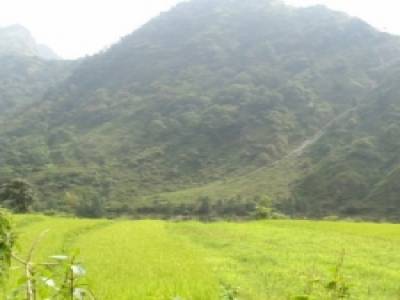 Trek Annapurnas