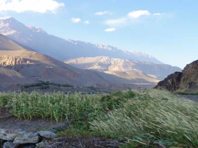 Trek Annapurnas