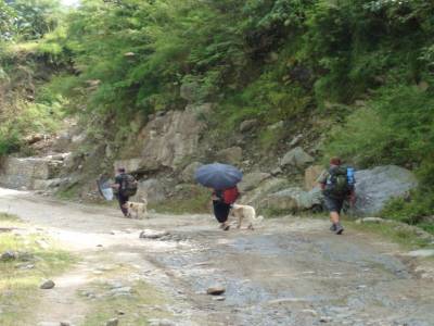 Trek Annapurnas