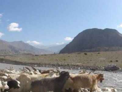 Trek Annapurnas