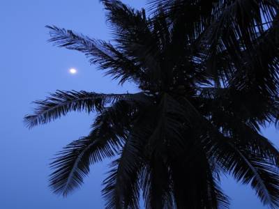 Nha Trang