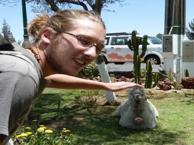 Fred et le Llama des villes