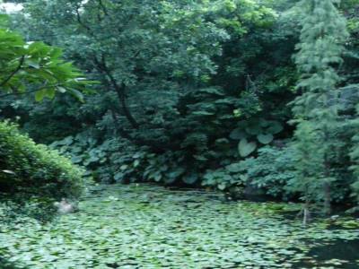parc
