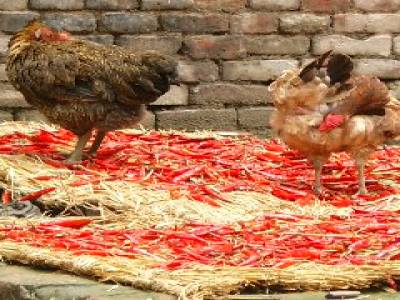 Bhaktapur