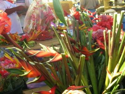 Fleurs de Réunion