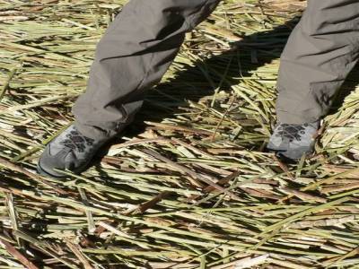 Le lac Titicaca