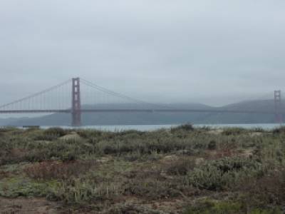 San Francisco 250809