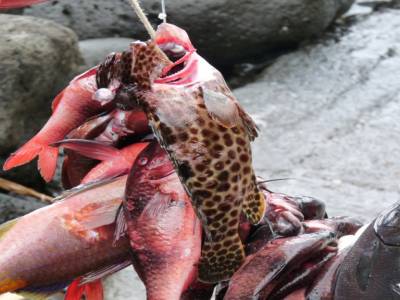 Retour de la pêche